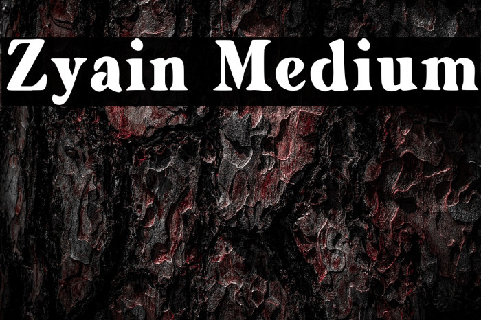 Zyain Medium Example 1