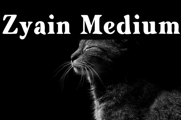 Zyain Medium Example 3