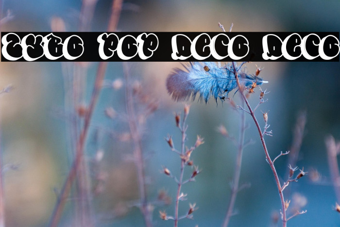 Zybo Pop Deco Deco Example 1