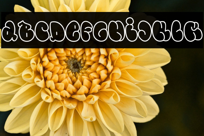 Zybo Pop Outline Outline Example 3