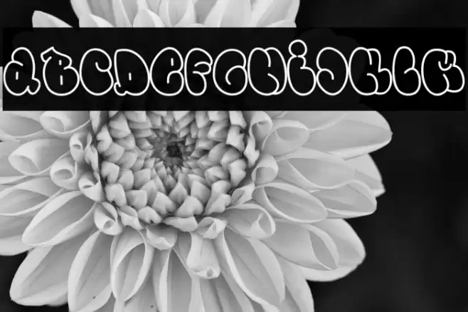 Zybo Pop Outline Outline Fuentes examples