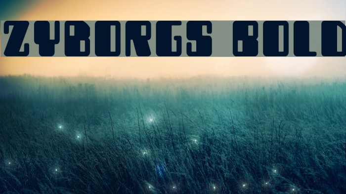 Zyborgs Bold Font examples