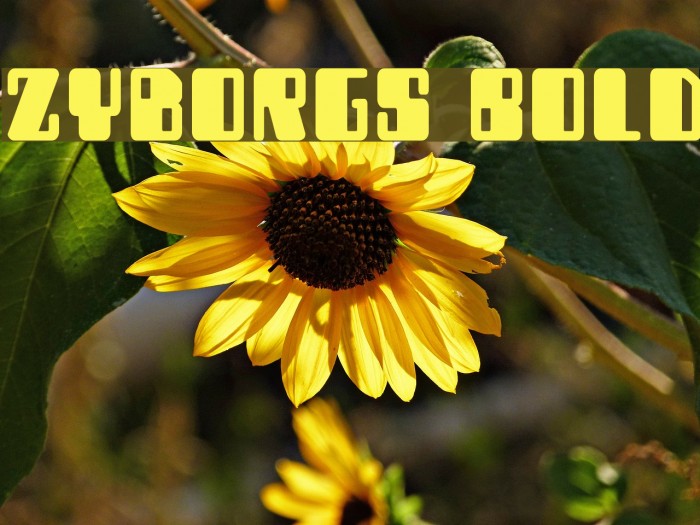 Zyborgs Bold Font examples