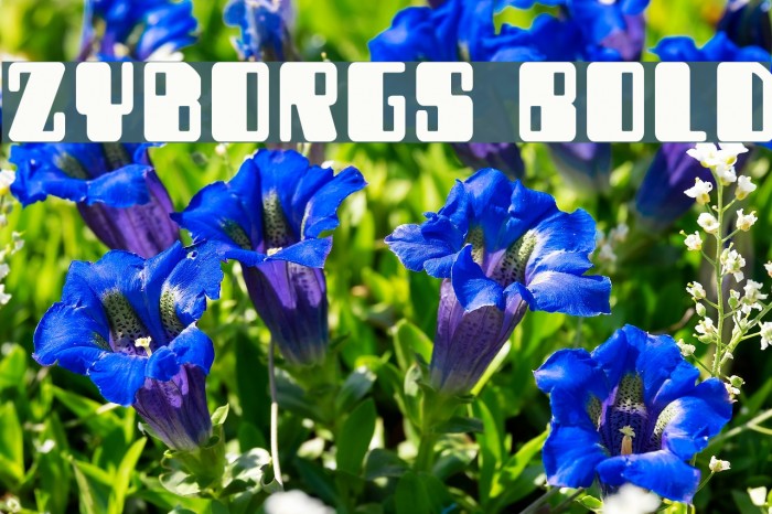 Zyborgs Bold Font examples