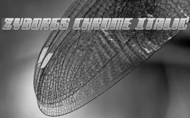Zyborgs Chrome Italic Font examples