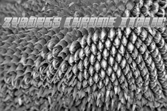 Zyborgs Chrome Italic Font examples