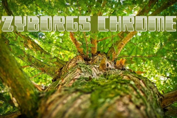 Zyborgs Chrome Font examples