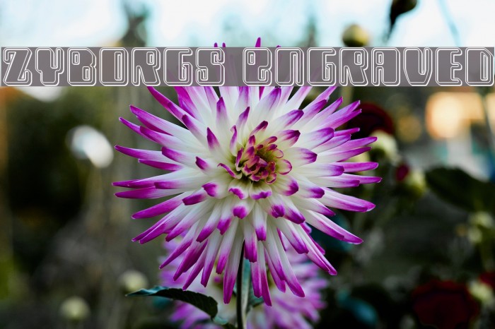 Zyborgs Engraved Example 2