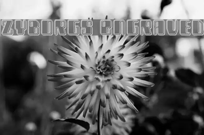 Zyborgs Engraved Font examples