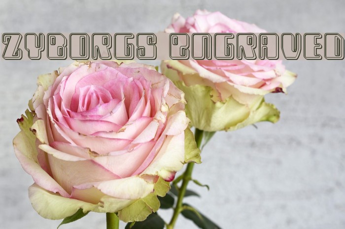 Zyborgs Engraved Example 3