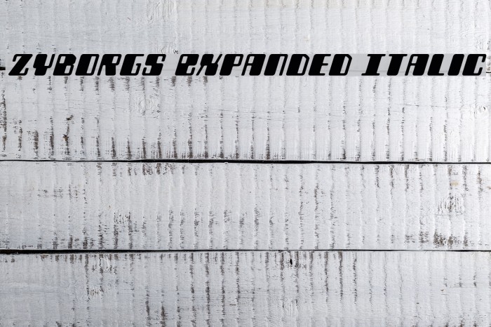 Zyborgs Expanded Italic Font examples