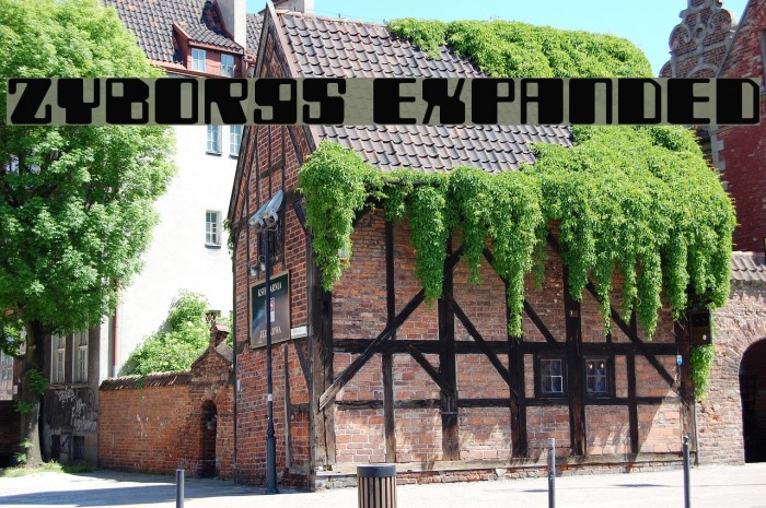 Zyborgs Expanded Font examples