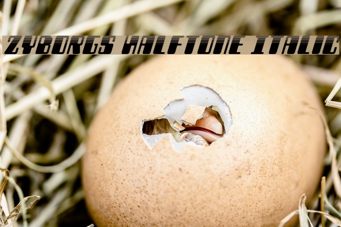 Zyborgs Halftone Italic Example 2