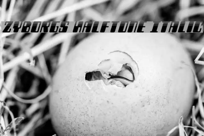 Zyborgs Halftone Italic Font examples