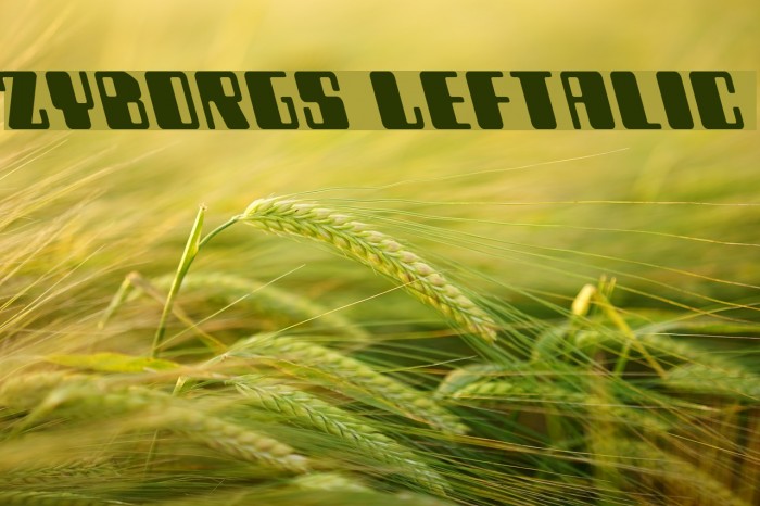 Zyborgs Leftalic Example 2