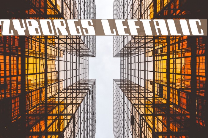 Zyborgs Leftalic Example 3