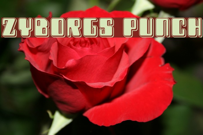 Zyborgs Punch Example 2