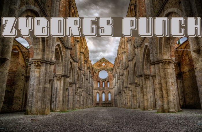 Zyborgs Punch Example 3