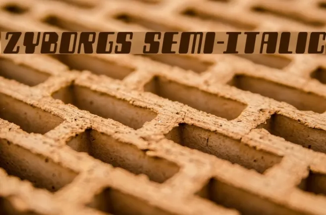Zyborgs Semi-Italic Example 2