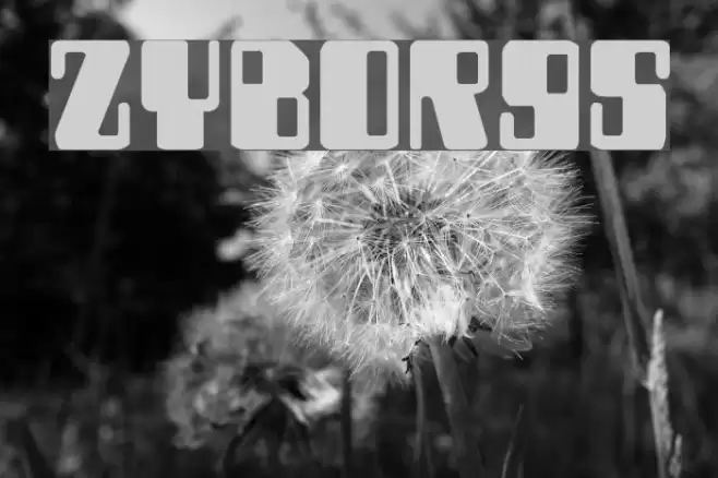 Zyborgs Schriftart examples