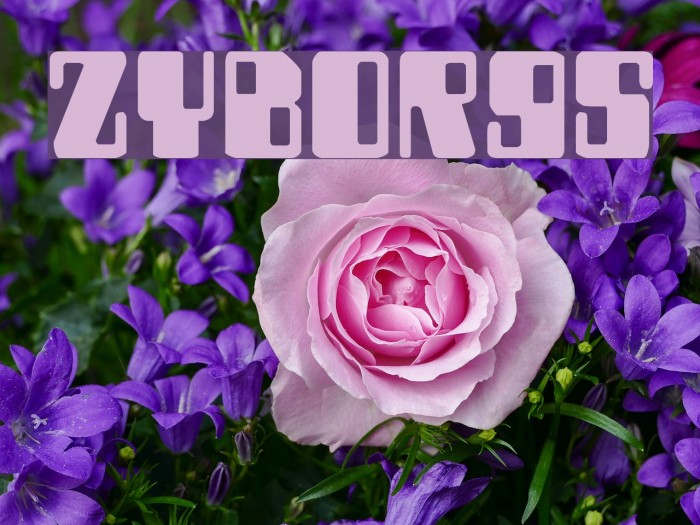 Zyborgs Fuentes examples