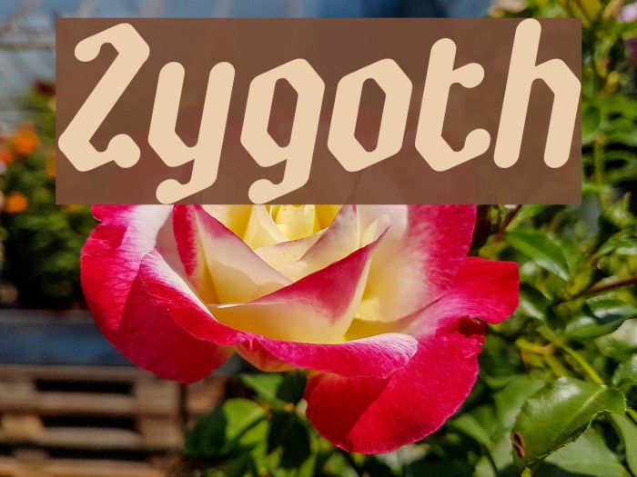 Zygoth Schriftart examples