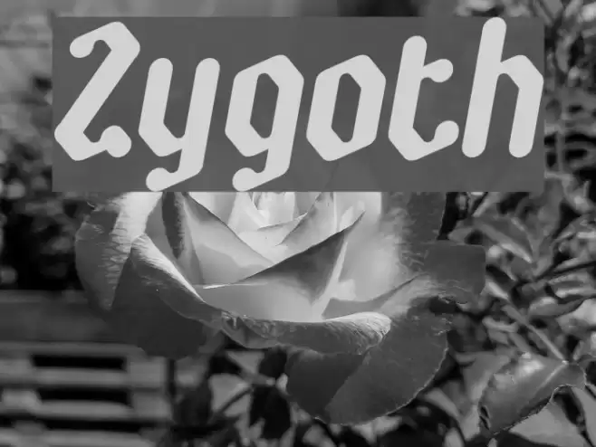 Zygoth Font examples
