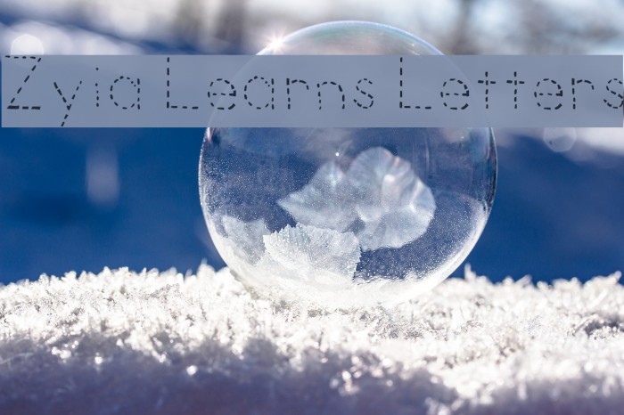 Zyia Learns Letters Font examples