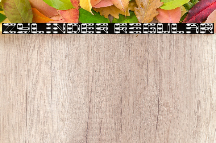 Zylinder Regular Example 1