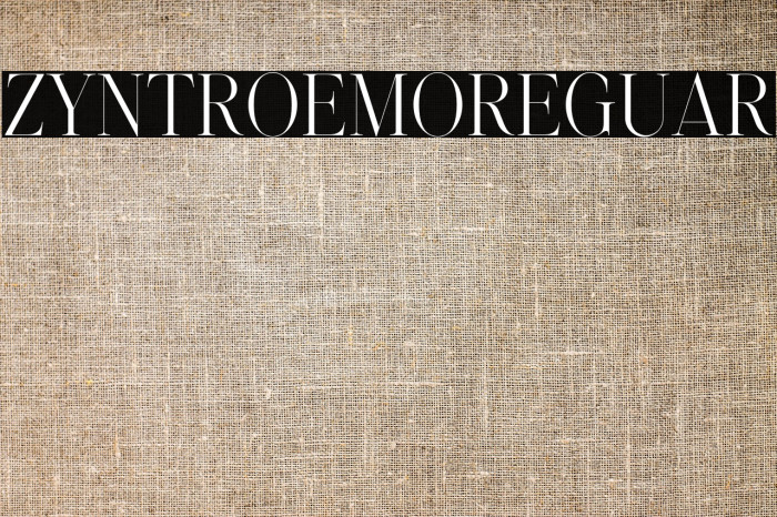 Zyntro Demo Regular Example 1