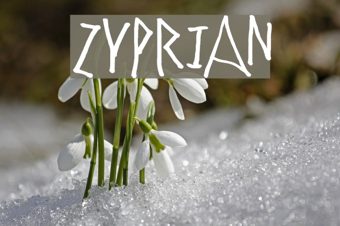 Zyprian Font examples
