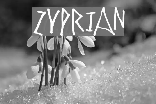 Zyprian Font examples