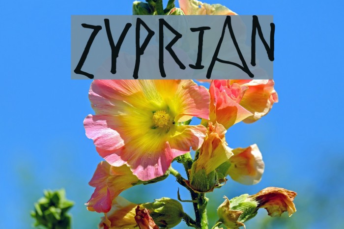 Zyprian Font examples