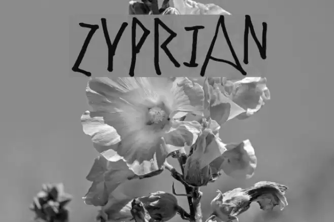 Zyprian Font examples