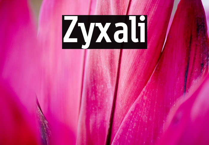 Zyxali Example 1