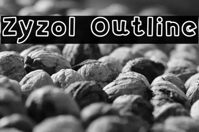 Zyzol Outline Polices examples