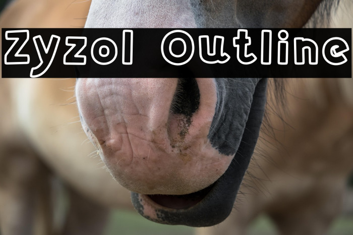 Zyzol Outline Example 2