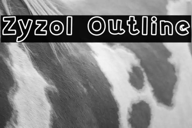 Zyzol Outline Polices examples