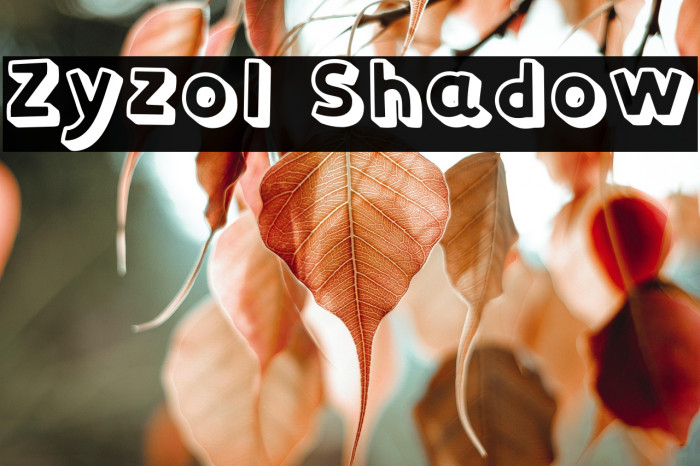 Zyzol Shadow Example 1